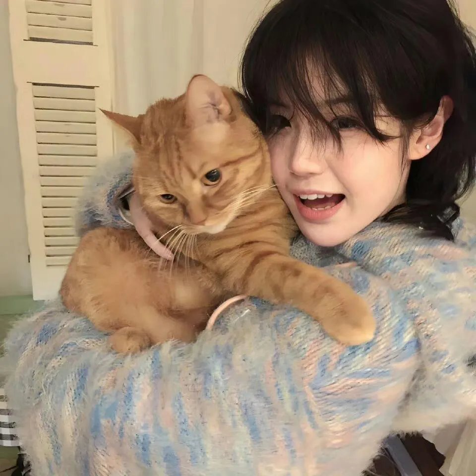 扫毒风云之因货起的祸